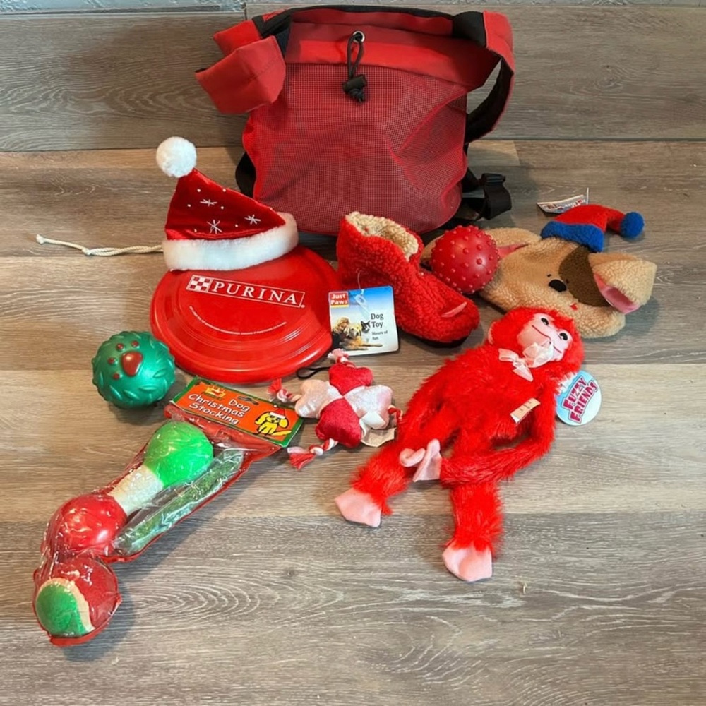 Adorable Red Pet Carrier Backpack + Holiday Dog Toy Bundle | NWT